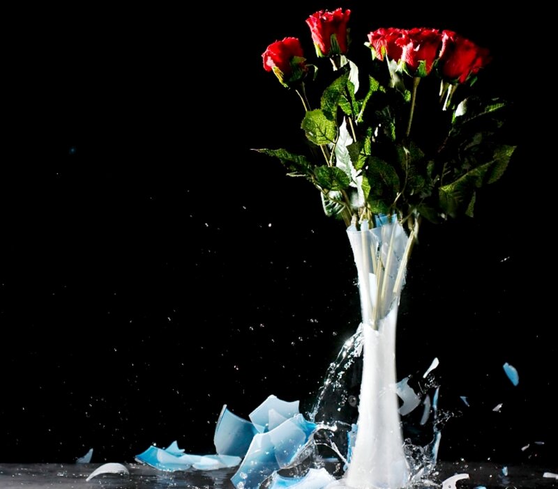 Red Roses in Vase — Dramatic, Photograph, Broken Glass