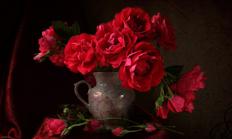 Red Roses in Vase — Dramatic, Photograph, Flowers