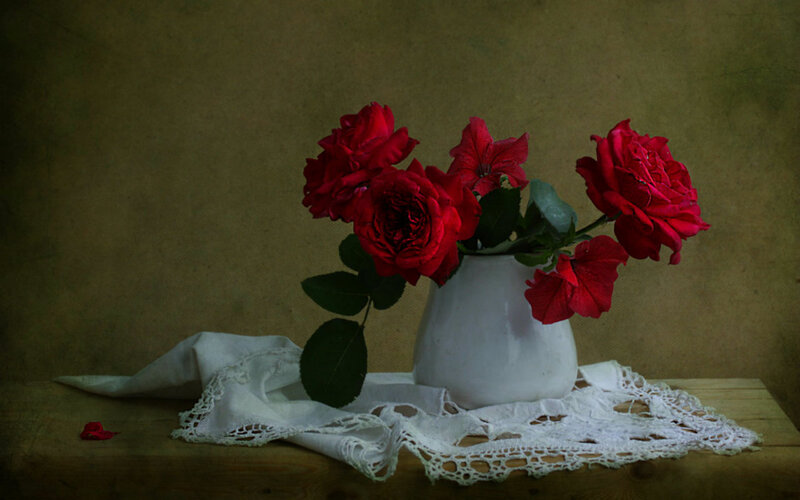 Red Roses in Vase — Dramatic, Photograph, Lace Cloth