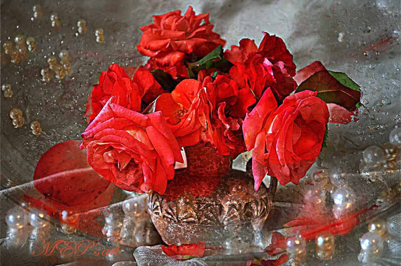 Red Roses in Vase — Dramatic, Photograph