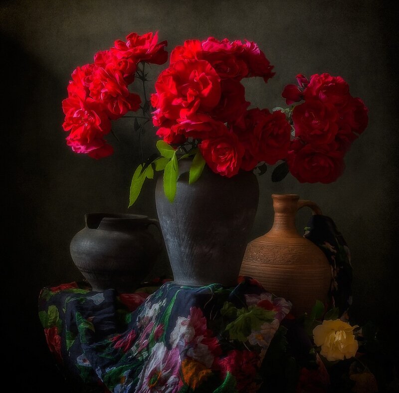 Red Roses in Vase — Dramatic, Photograph, Vases, Cloth