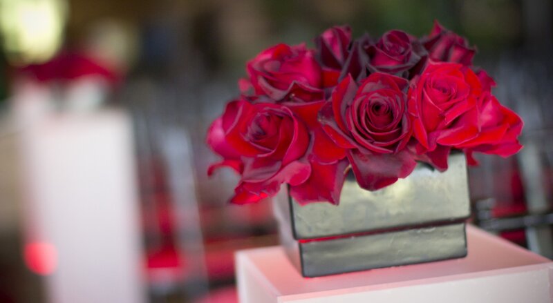 Red Roses in Vase — Elegant, Photograph, Stand