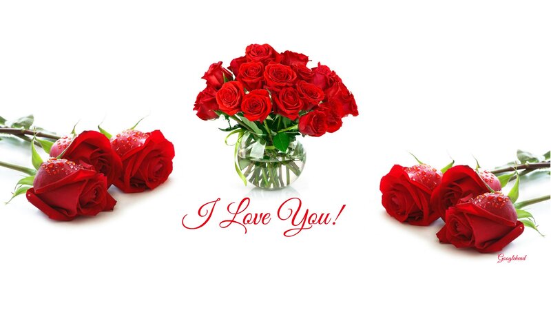 Red Roses in Vase — Romantic, Photograph, Text