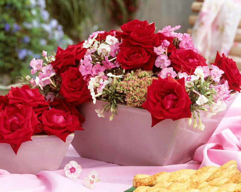 Red Roses in Vase — Serene, Afternoon, Photograph, Flowers