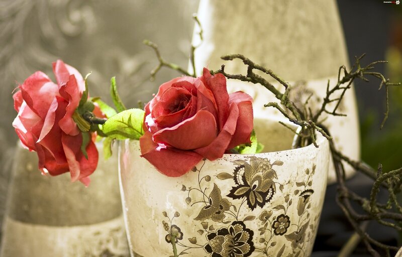 Red Roses in Vase — Serene, Photograph, Branches