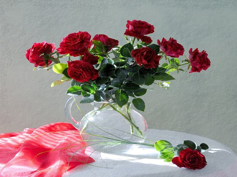 Red Roses in Vase — Serene, Photograph