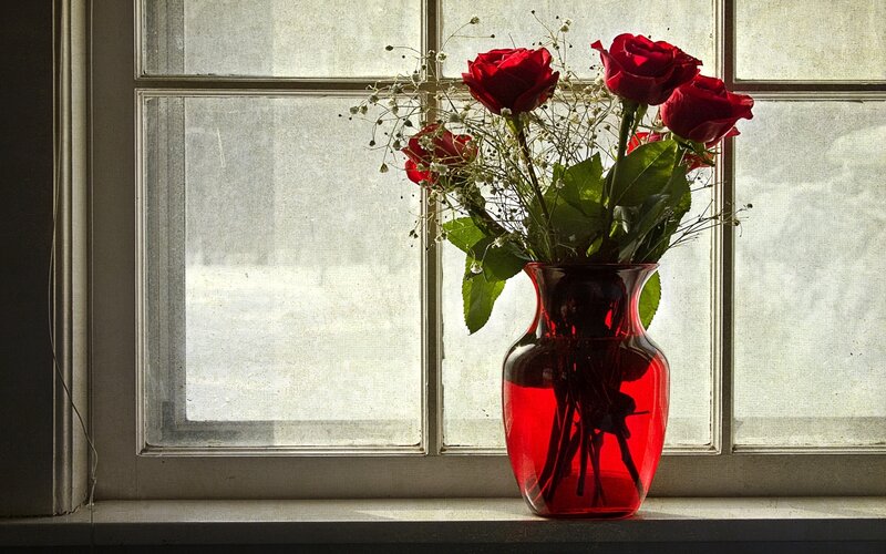 Red Roses in Vase — Serene, Photograph, Window