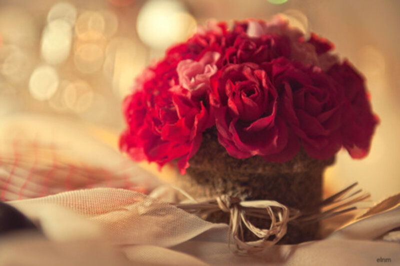 Red Roses in Vase — Warm