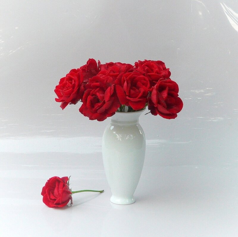 Red Roses in Vase — White, Calm