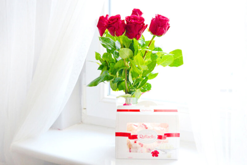 Red Roses in Vase — White, Serene, Morning