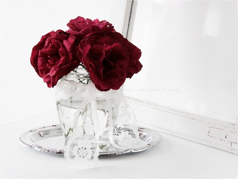 Red Roses in Vase — White, Serene, Photograph