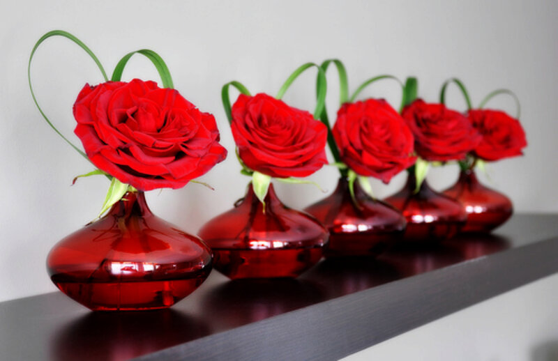 Red Roses in Vases — Calm