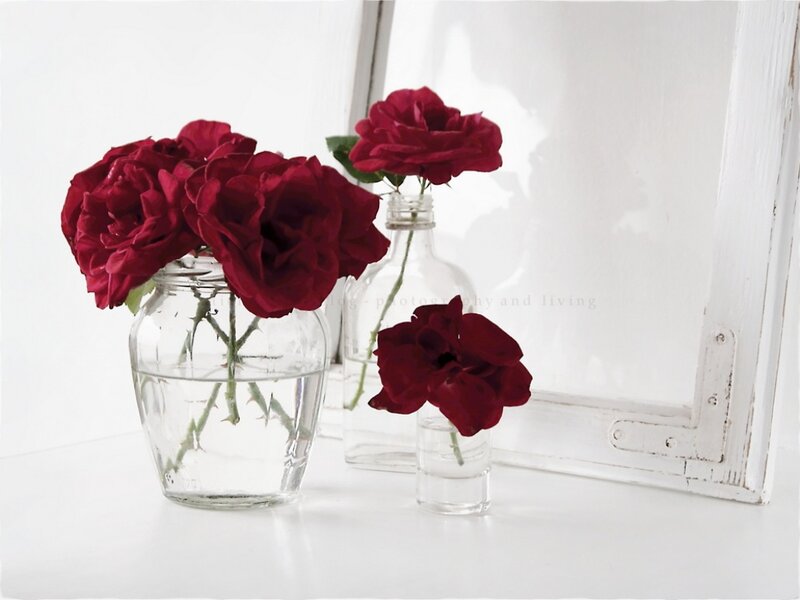 Red Roses in Vases — Serene