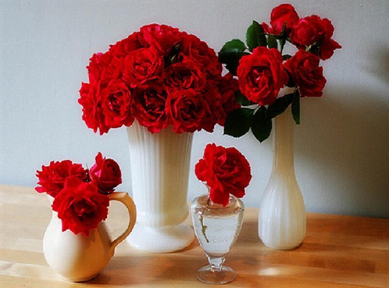 Red roses in vases