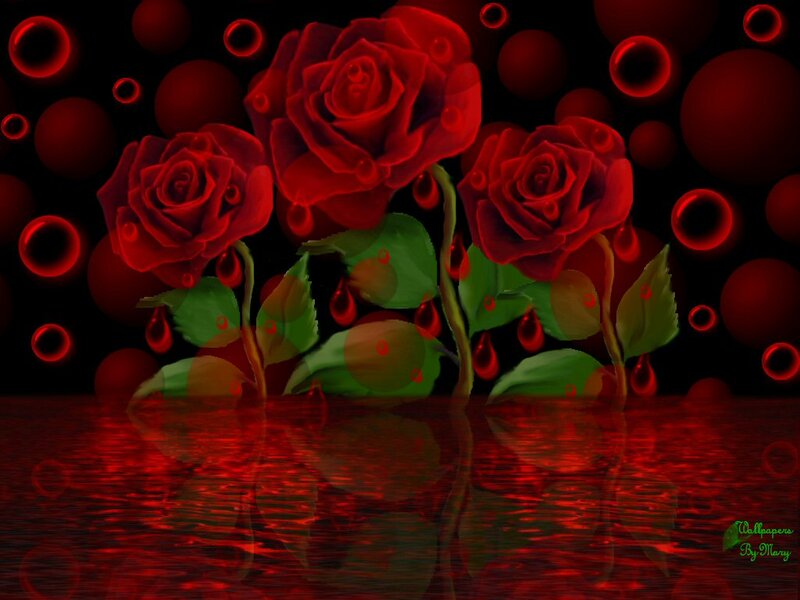 Red Roses in Water — Dramatic