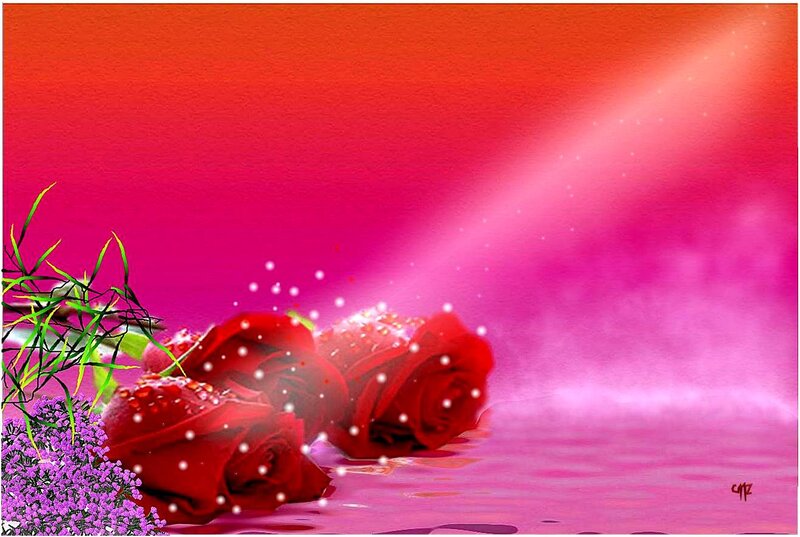 Red Roses in Water — Romantic