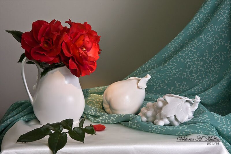 Red Roses in White Pitcher