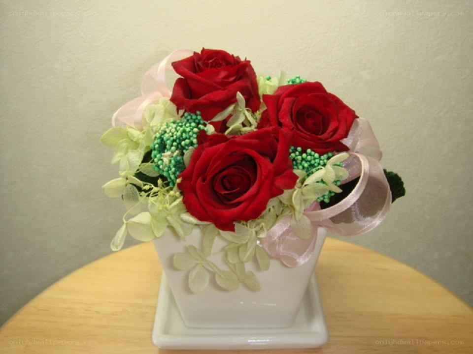 red roses in white vase