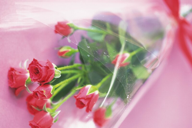 Red Roses in Wrapping
