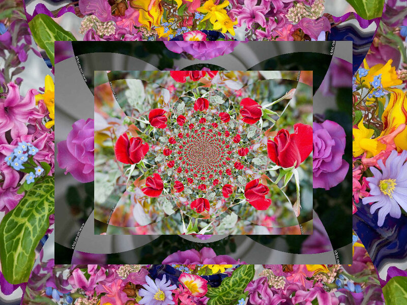 Red Roses Mandala