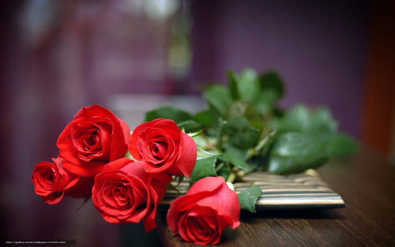 Red roses on a table
