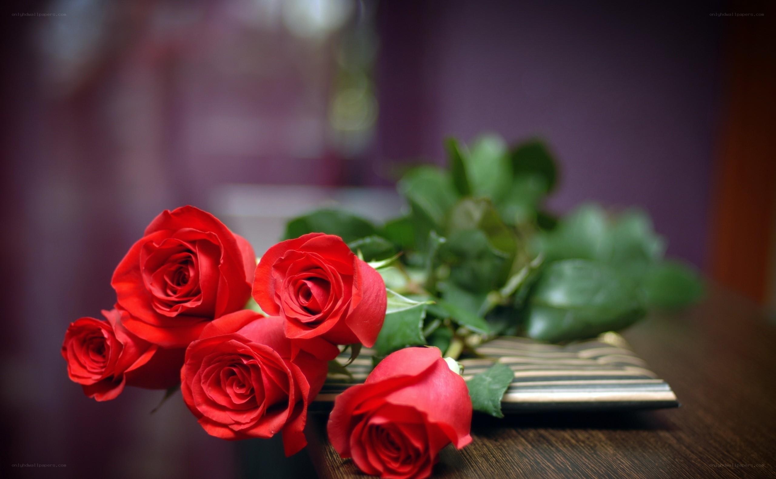 Red roses on a table
