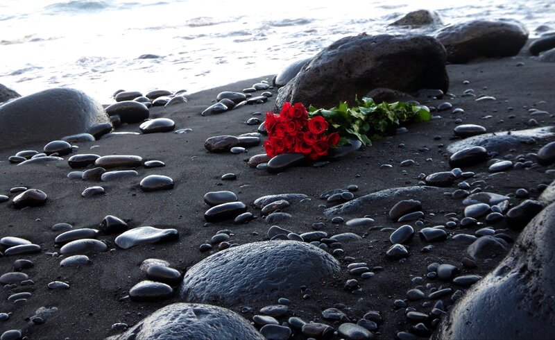 Red Roses on Beach — Black, Serene