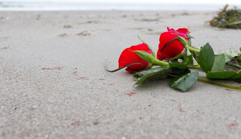 Red Roses on Beach — Somber