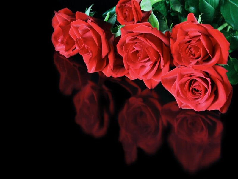 Red Roses on Black — Dramatic, Photograph, Green Leaves, Reflection