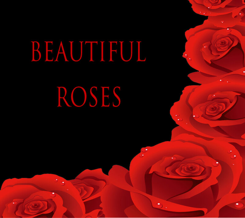 Red Roses on Black