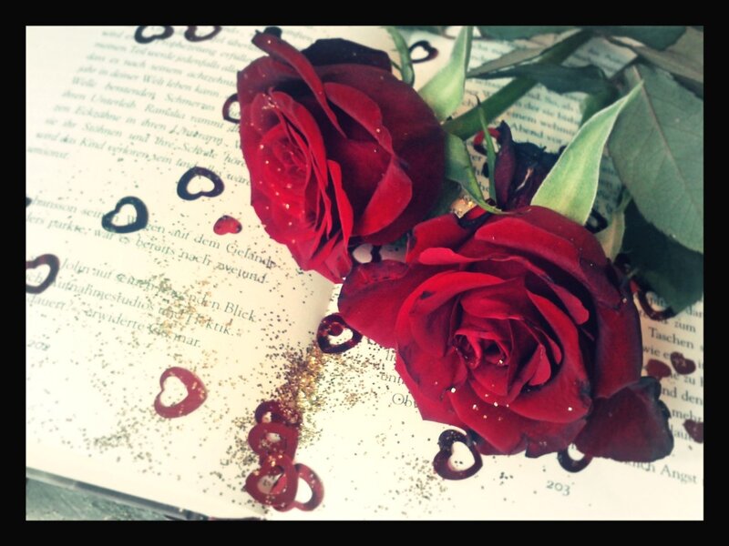 Red Roses on Book Page