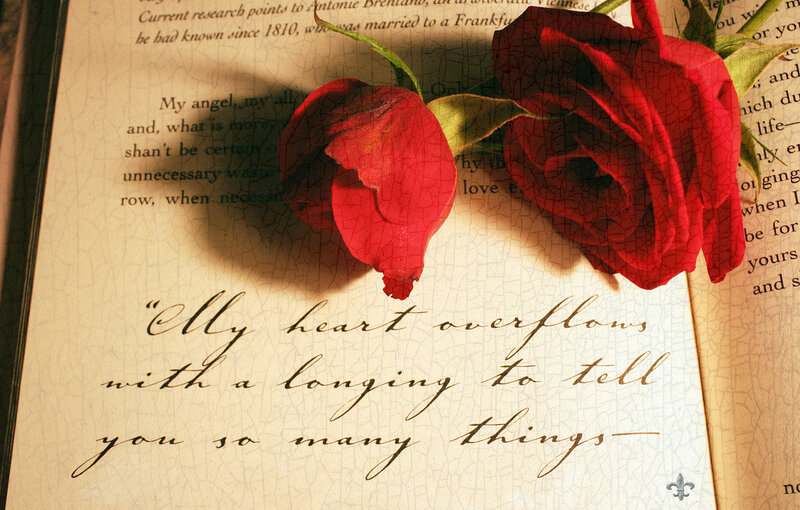 Red Roses on Book — Romantic