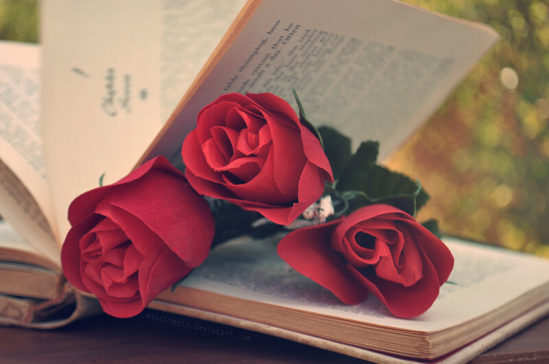 Red Roses on Book — Serene