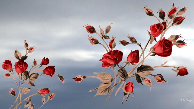 Red Roses on Branches