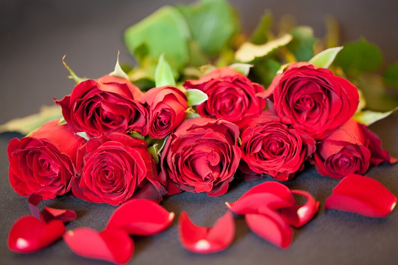 Red Roses on Dark Surface