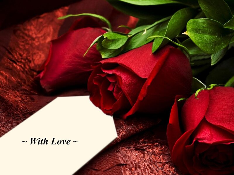 Red Roses on Fabric — Romantic