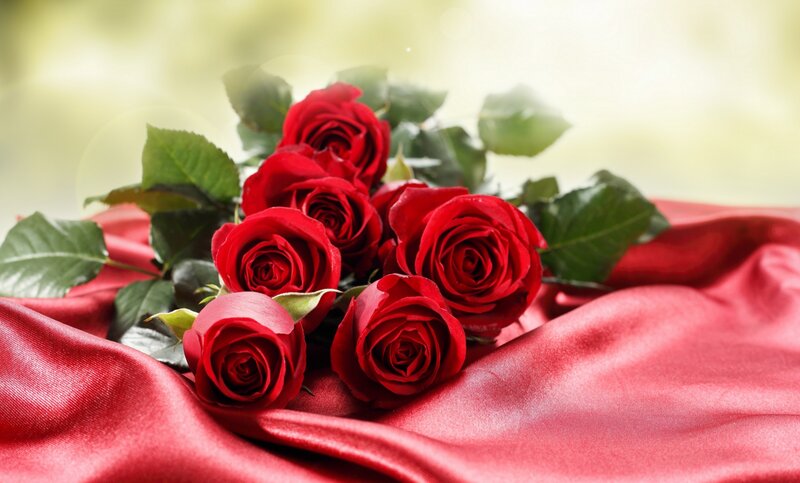 Red Roses on Fabric — Serene