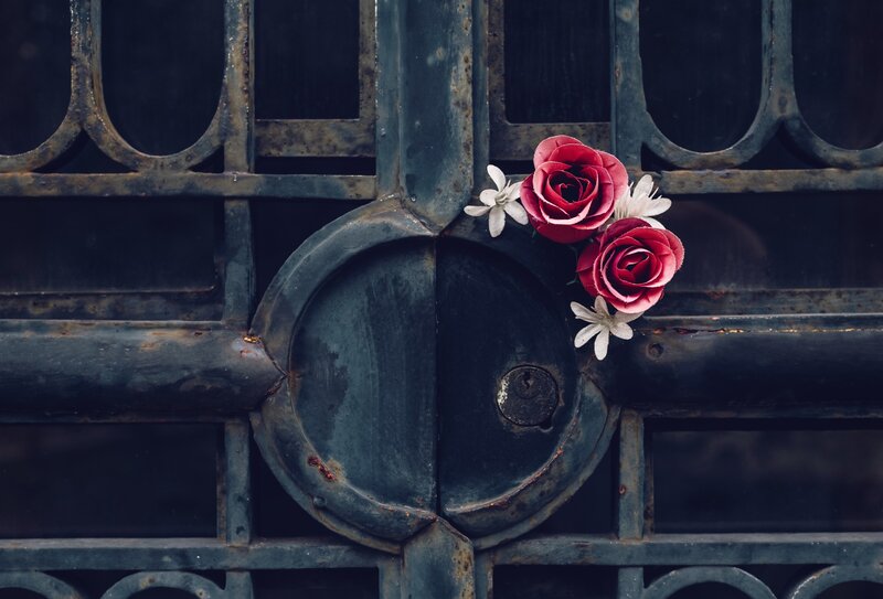 Red Roses on Gate