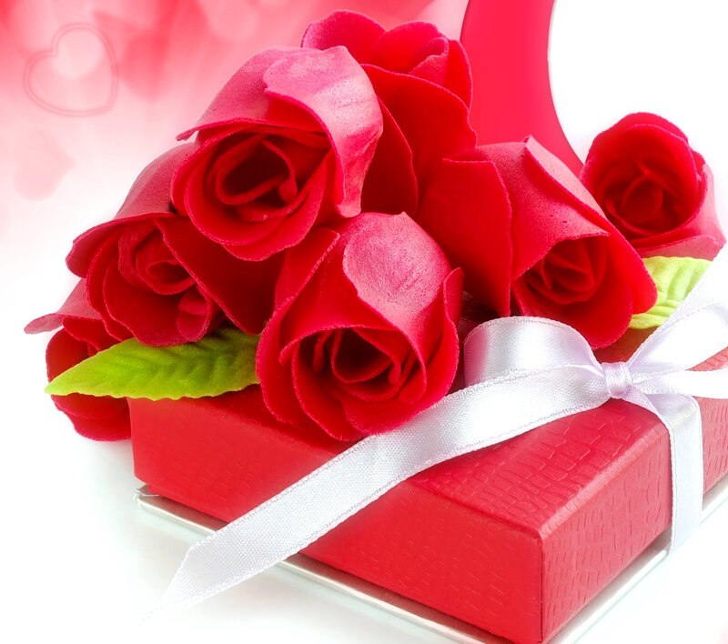 Red Roses on Gift Box — Romantic