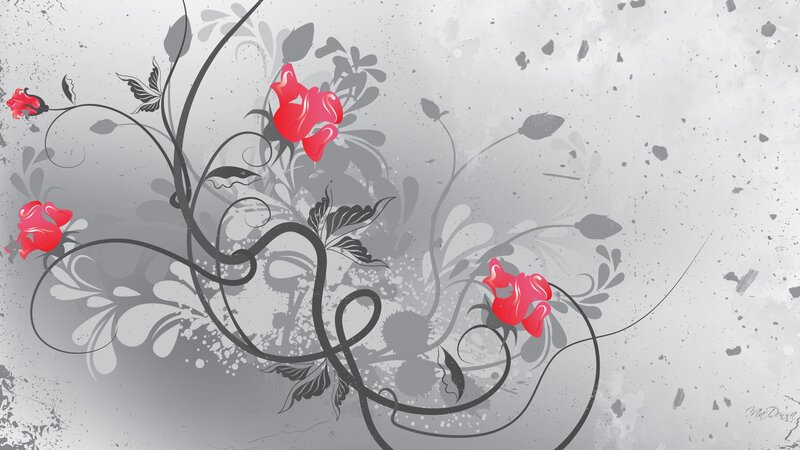 Red Roses on Gray Background