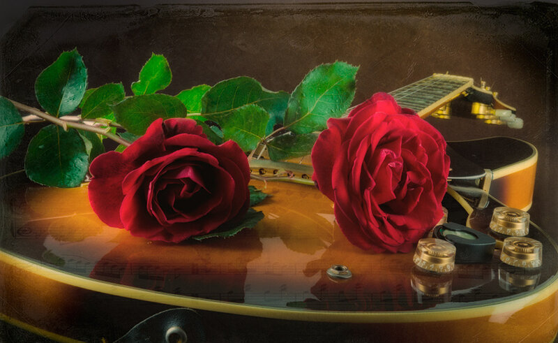 Red Roses on Guitar — Dramatic