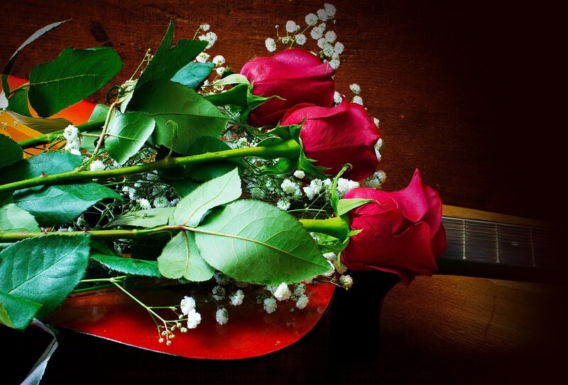 Red Roses on Guitar