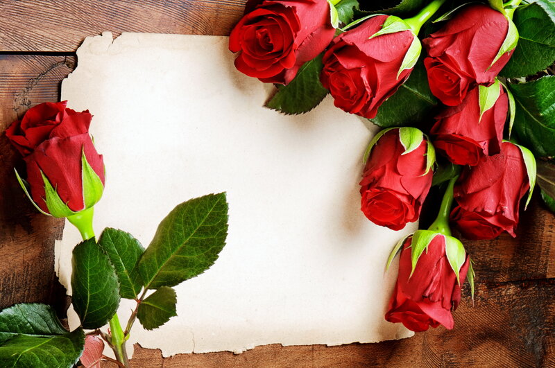 Red Roses on Paper — Romantic, Photograph