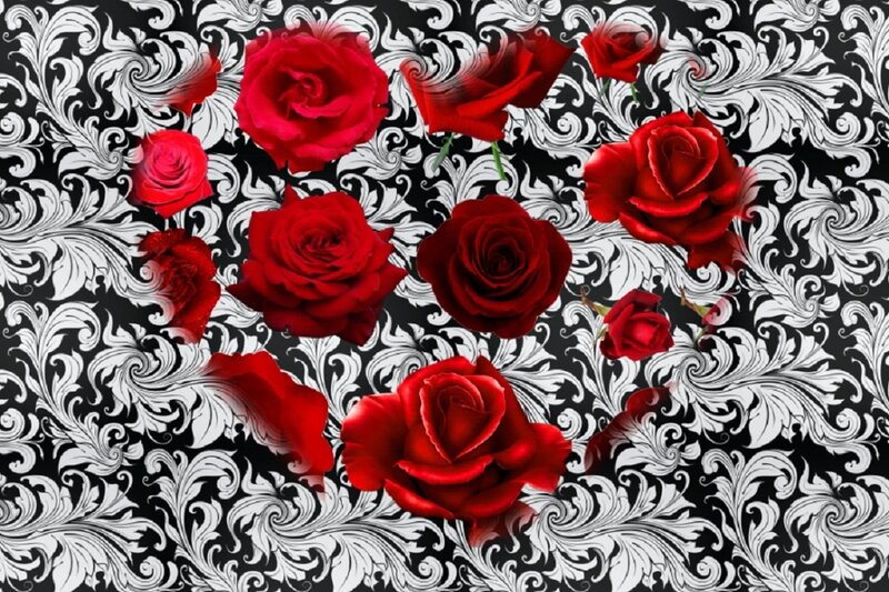 Red Roses on Patterned Background — Dramatic