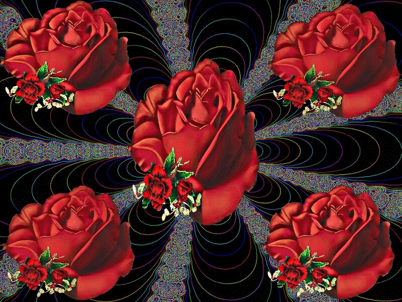 Red Roses on Patterned Background