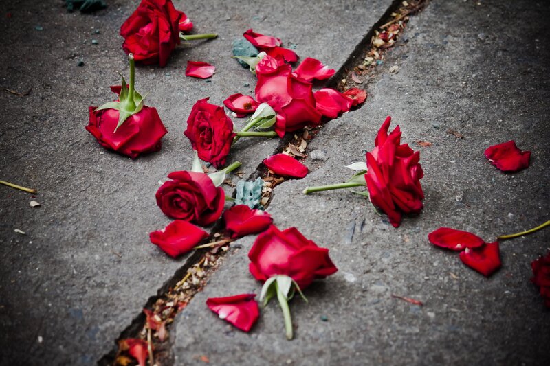 Red Roses on Pavement — Melancholic