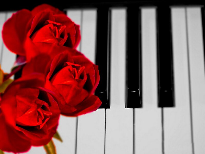 Red Roses on Piano Keys