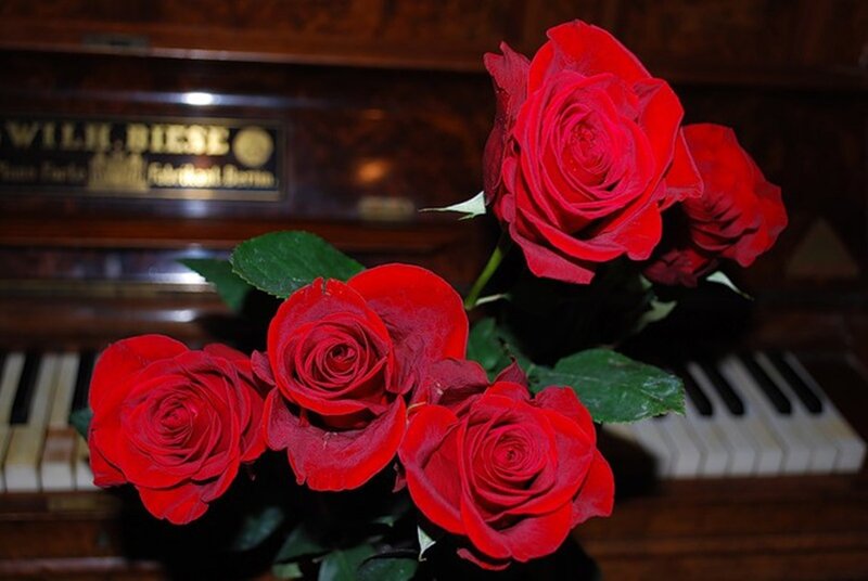 Red Roses on Piano — Romantic