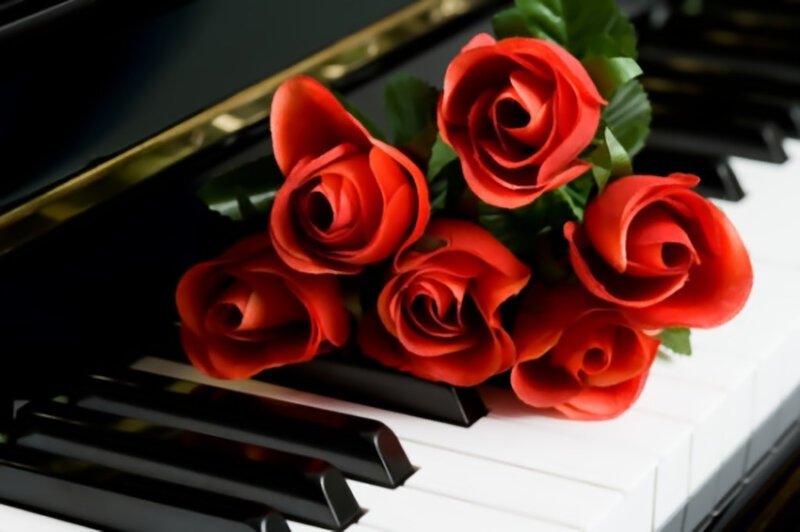 Red Roses on Piano — Serene