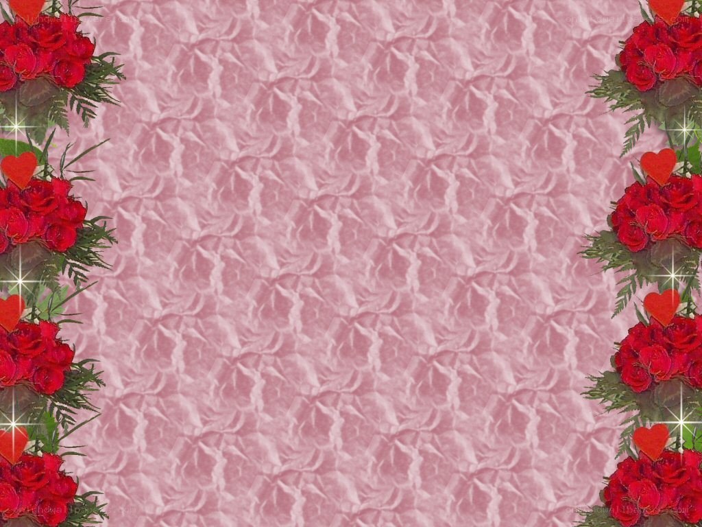 red roses on pink background